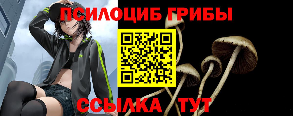 Псилоцибиновые грибы Magic Shrooms  Вход с VPN  Минеральные Воды 